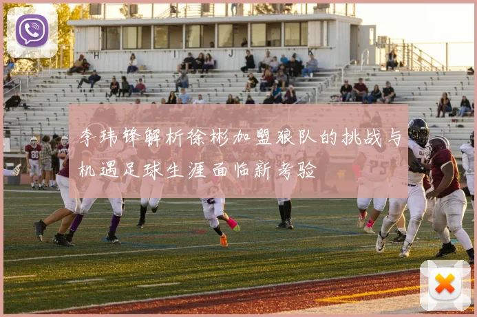 李玮锋解析徐彬加盟狼队的挑战与机遇足球生涯面临新考验