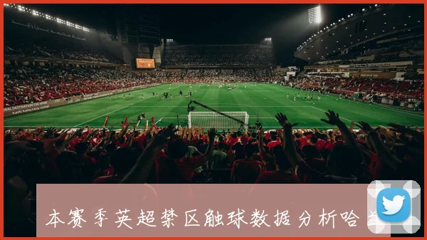 本赛季英超禁区触球数据分析哈兰德领衔多库萨卡萨拉赫紧随其后
