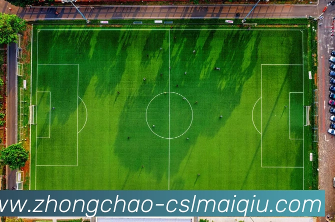 中超买球平台生态图